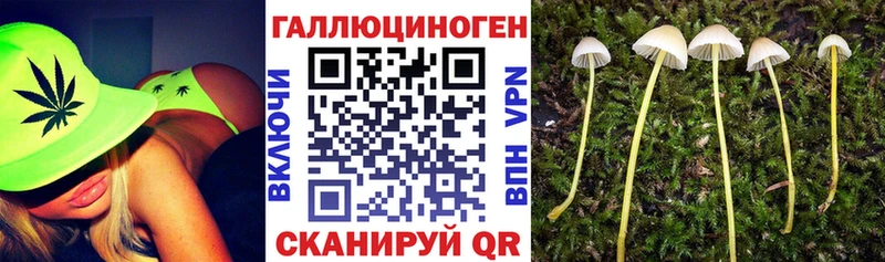 Псилоцибиновые грибы мухоморы  мега зеркало  Звенигород 