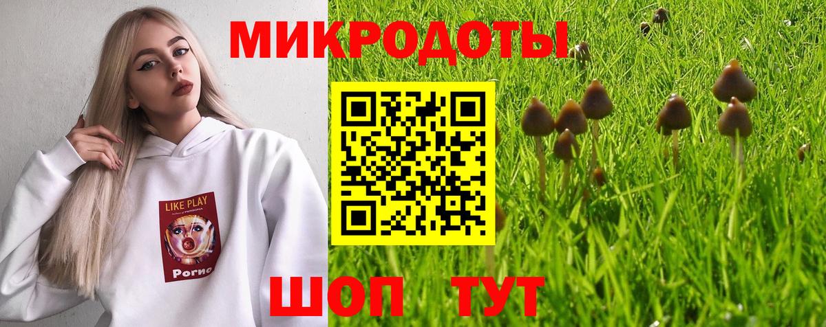 Псилоцибиновые грибы GOLDEN TEACHER  Галлюциногенные грибы GOLDEN TEACHER  цена   Вход с VPN  Звенигород 