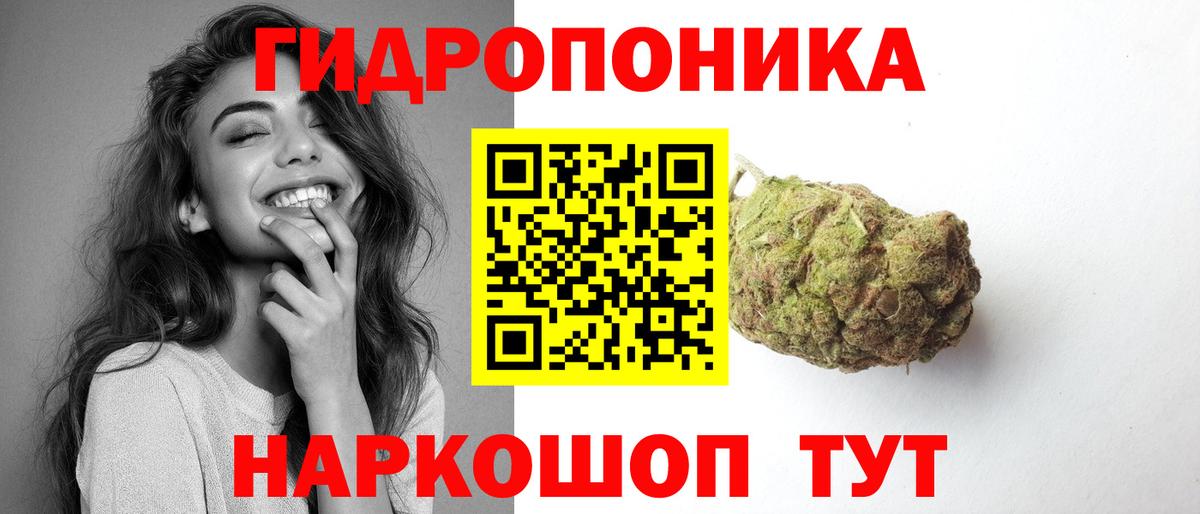 Звенигород  Каннабис ГИДРОПОН  Бошки Шишки план  Конопля семена  Вход с VPN 